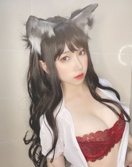 揽胜内饰