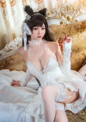 解密电视剧全集在线观看免费高清